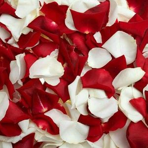 Meet your Posher, Ladies